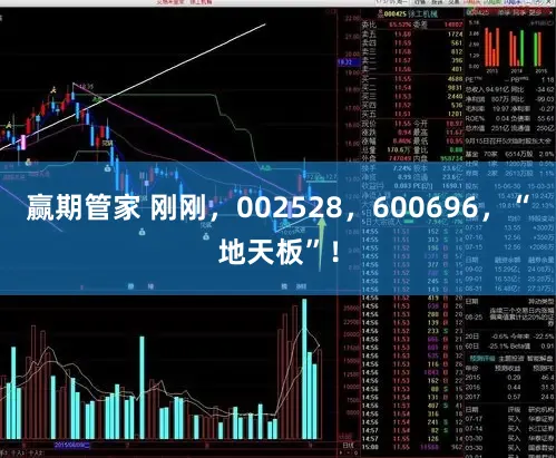 赢期管家 刚刚，002528，600696，“地天板”！