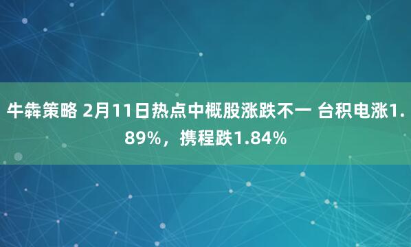 牛犇策略 2月11日热点中概股涨跌不一 台积电涨1.89%，携程跌1.84%