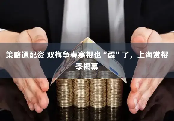 策略通配资 双梅争春寒樱也“醒”了，上海赏樱季揭幕