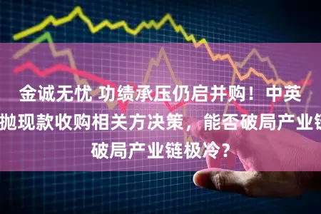 金诚无忧 功绩承压仍启并购!中英科技拟抛现款收购相关方决策,能否破局产业链极冷?