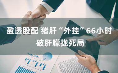 盈透股配 猪肝“外挂”66小时 破肝朦拢死局