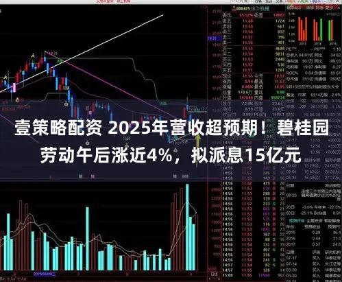 壹策略配资 2025年营收超预期！碧桂园劳动午后涨近4%，拟派息15亿元