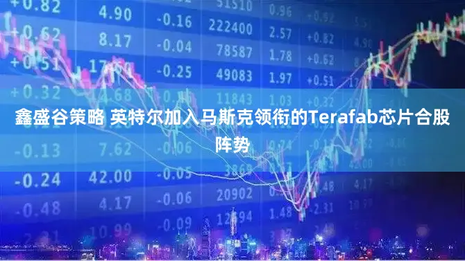 鑫盛谷策略 英特尔加入马斯克领衔的Terafab芯片合股阵势