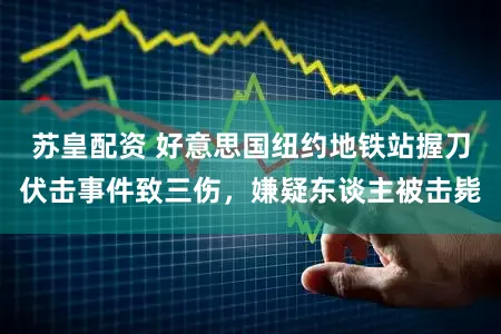 苏皇配资 好意思国纽约地铁站握刀伏击事件致三伤，嫌疑东谈主被击毙