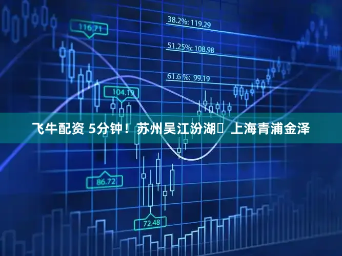 飞牛配资 5分钟！苏州吴江汾湖⇄上海青浦金泽