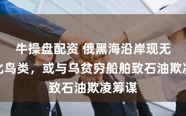 牛操盘配资 俄黑海沿岸现无数物化鸟类，或与乌贫穷船舶致石油欺凌筹谋