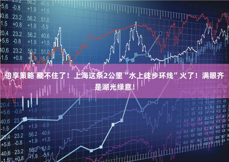 倍享策略 藏不住了!上海这条2公里“水上徒步环线”火了!满眼齐是湖光绿意!
