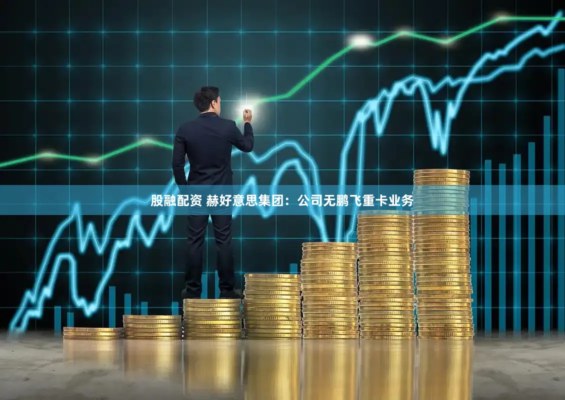 股融配资 赫好意思集团：公司无鹏飞重卡业务